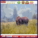 DIY Oil Painting By Numbers Horses Eat Grass Acrylic Color Drawing Picture Art