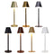 Modern LED Desk Lamp Bar Rechargeable Touch Living Room Reading Light (F)