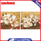 White Flower Oil Paint By Numbers Kits Canvas Picture Wall Art DIY Craft Decor
