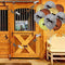 8PCS Themed Kids Number Foil / Latex Balloon Party Supplies