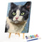 Oil Paint Cat By Numbers Coloring Picture Digital Drawing