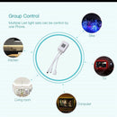 1 to 2 LED Controler Box 24 Keys IR Remote Controller for RGB Lights Strip Newly