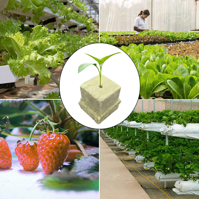#A 50pcs Seedling Grow Plugs Starter Water Hydroponic Soilless Cultivation Tub