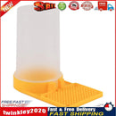 Plastic Beekeeping Feeder Honey Bee Nest Door Watering Feeding Box Tools Newly