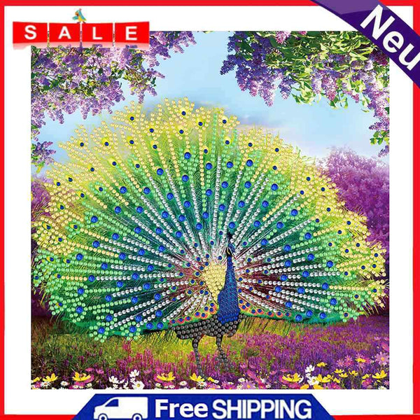 Part Special Shaped Drill Diamond Painting Peacock Mosaic Picture Art Crafts