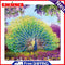 Part Special Shaped Drill Diamond Painting Peacock Mosaic Picture Art Crafts