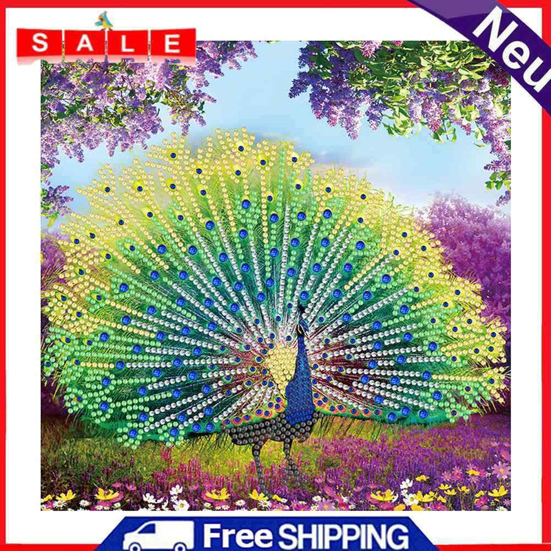 Part Special Shaped Drill Diamond Painting Peacock Mosaic Picture Art Crafts