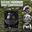 Plants Rooting Garden Box Propagation Cutting Rooter Sapling Ball (M Black)