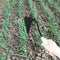 Homi Korean Traditional Plow Hoe Farming Garden Digging Wooden Hand Handle