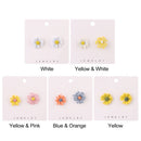Pairs Small Women Cute Asymmetrical Daisy Flower Stud Earrings Jewelry Earrings