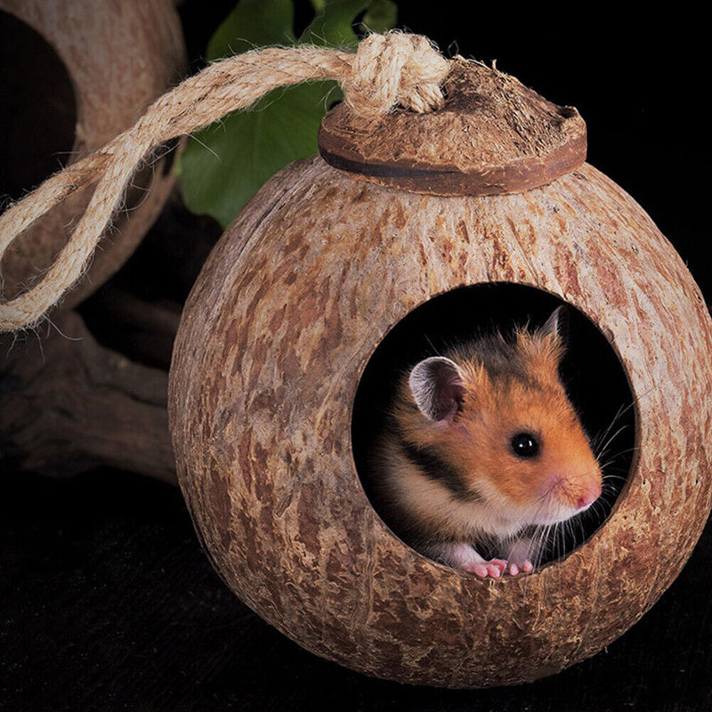 Parrot Coconut Shell Bird Nest Hamster Parakeet House with Hanging Ladder Newly