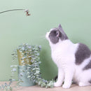 Cat Wand Toys - Durable Pole with High Strength & Toughness Ideal Toys for Pets