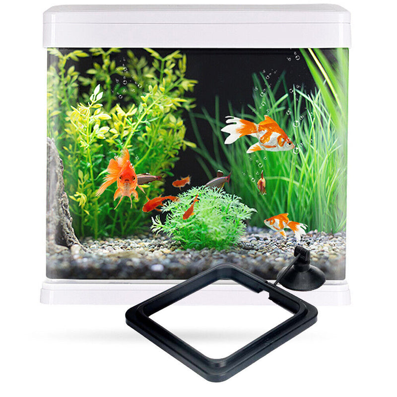Aquarium Feeding Ring Fish Tank Station Floating Food Tray Feeder Square Circle