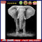 DIY Diamond Painting Kits Elephant Full Square Drill Wall Decoration Crafts