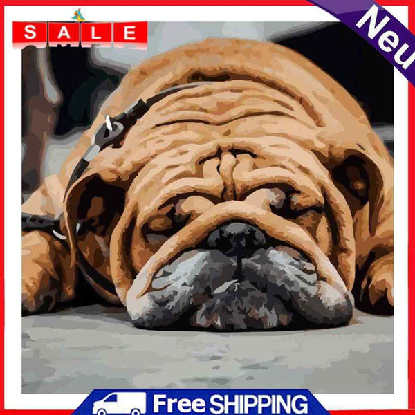 Hand Painted on Canvas DIY Sleeping Dog Oil Paint By Numbers Drawing Kit Craft