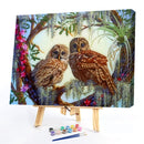 DIY Digital Picture Kit Owls Frameless Oil Painting By Number Handicraft Gifts