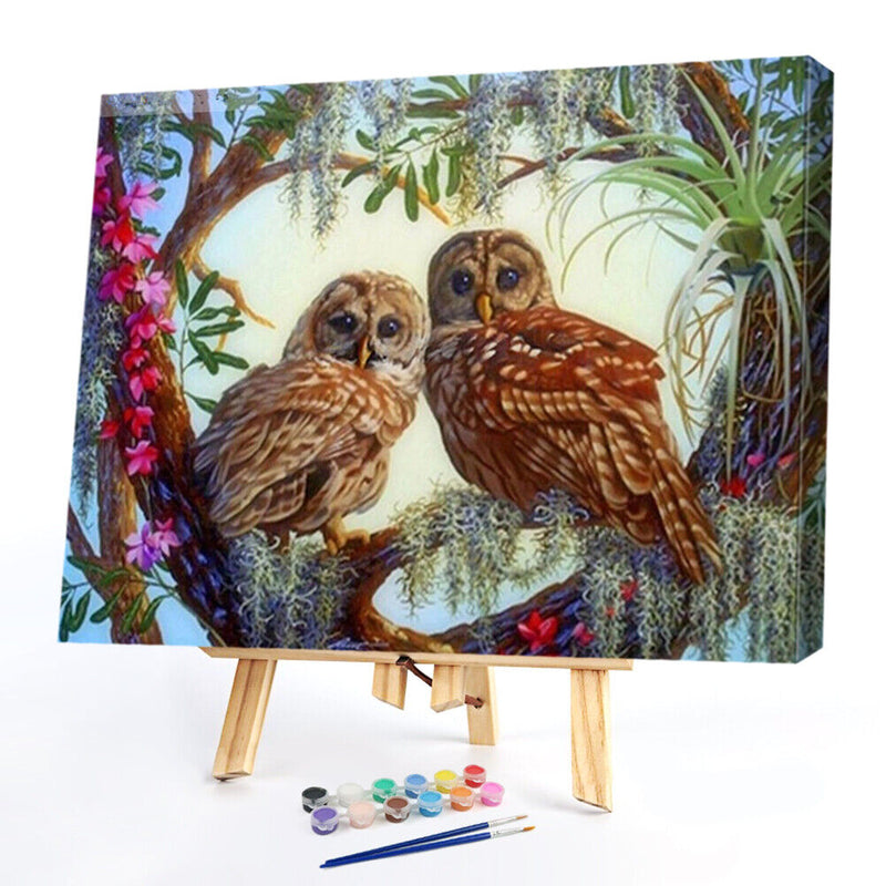DIY Digital Picture Kit Owls Frameless Oil Painting By Number Handicraft Gifts
