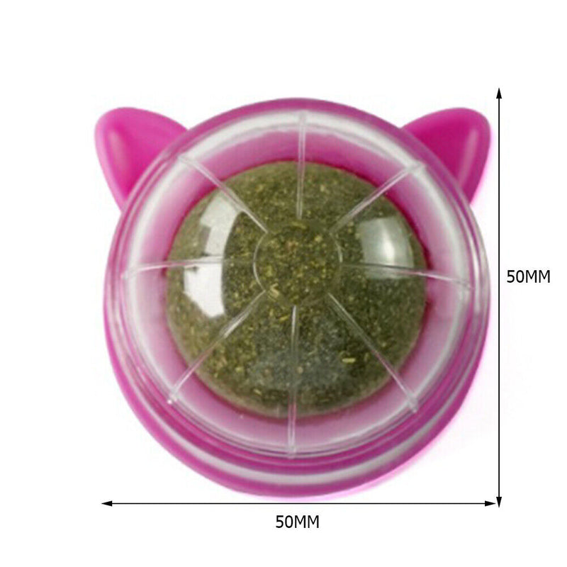 Catnip Ball Cat Toys Licking Teeth Chewing Pet Training Bite Balls (Purple)