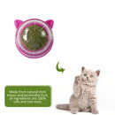 Catnip Ball Cat Toys Licking Teeth Chewing Pet Training Bite Balls (Purple)