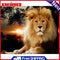 Lion Oil Paint By Numbers Canvas Drawing DIY Coloring Picture for Adults Child