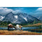Couple Riding Horse Oil Paint By Numbers Kit Frameless Drawing Picture Decor