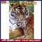 5D DIY Diamond Painting Tiger Mom and Son Full Round Drawing Home Decoration