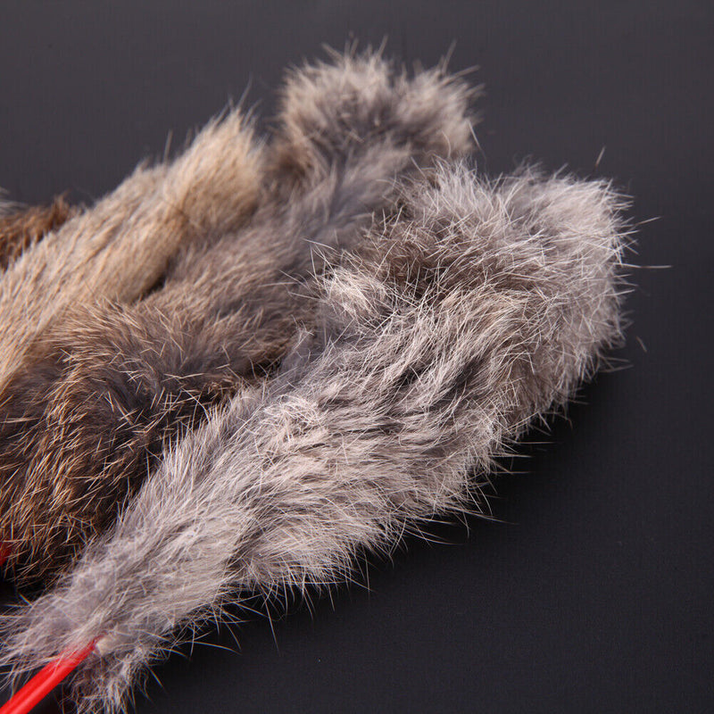 5pcs Funny Elastic Plastic Long Rod Colorful Plush Spring Teach Cat