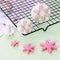 Flower Leaf Fondant Cake Cutter Plunger Cookie Decorating Mould Z2H9