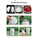 Easter Rabbit Fondant Mold Silicone Baking Pudding Dessert Molds Decorating