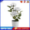 #A 3LED Rose Flower Solar Light Bonsai Flowerpot Garden Indoor Balcony Decor Lam