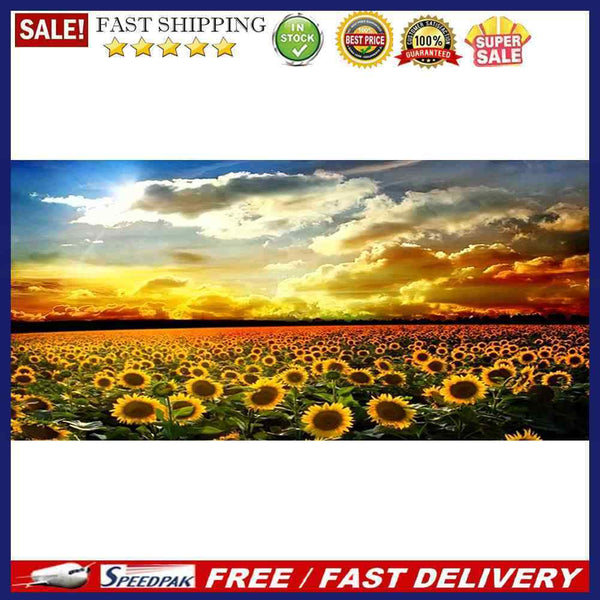 Sunset Sunflower Field Oil Paint By Numbers DIY Handpainted Home Decoration Gift