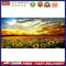 Sunset Sunflower Field Oil Paint By Numbers DIY Handpainted Home Decoration Gift