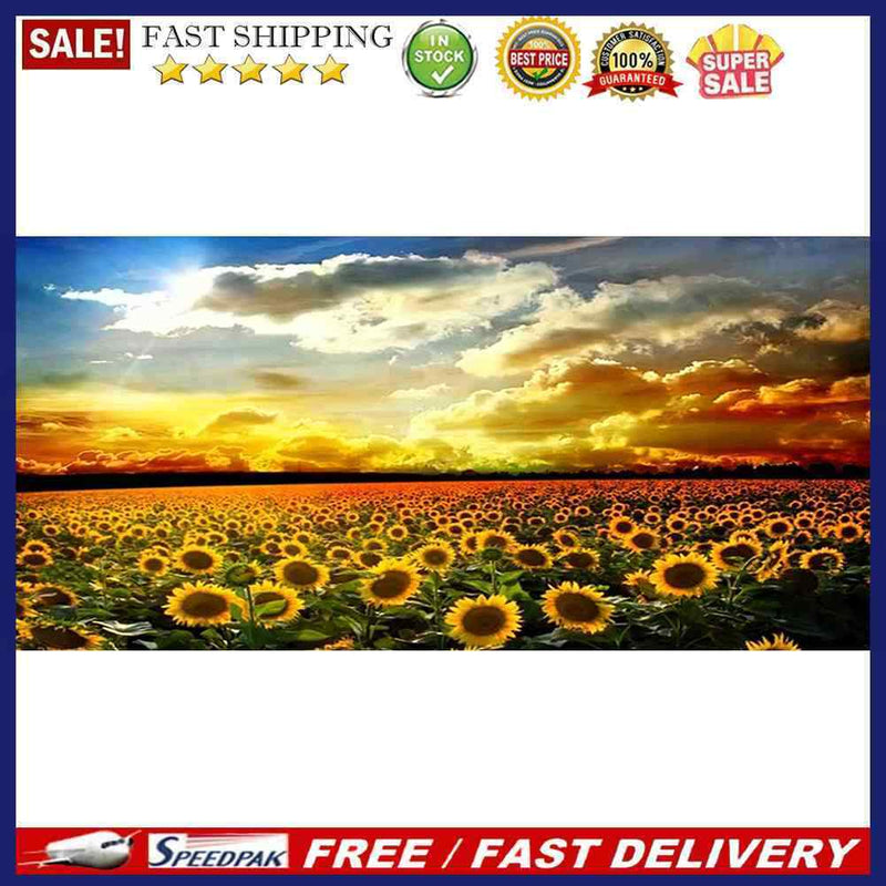 Sunset Sunflower Field Oil Paint By Numbers DIY Handpainted Home Decoration Gift