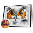 Diamond painting DIY round diamond owl series painting