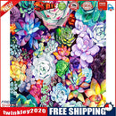 Succulents 40x50cm Oil Paint By Numbers Picture DIY Painting M682