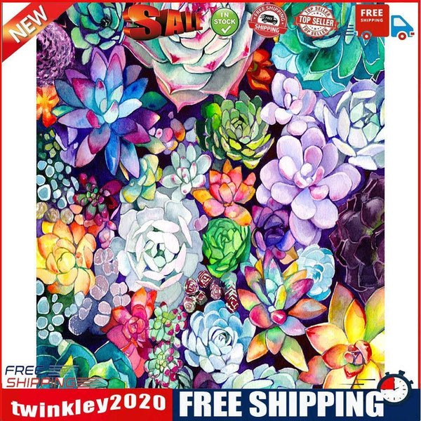 Succulents 40x50cm Oil Paint By Numbers Picture DIY Painting M682