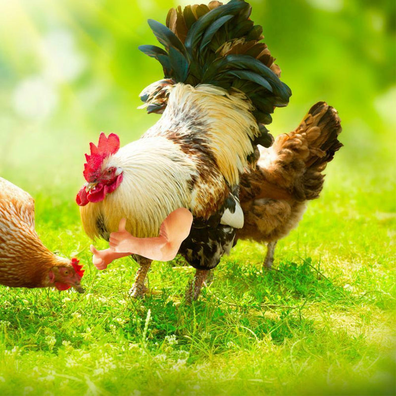 Thumbs Up Chicken Arms Made in Texas Gag Gift Chicken Arms For Chicken HOT I8O1