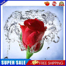 5D Round Diamond Embroidery DIY Needlework Cross Stitch Mosaic Art Craft