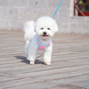 Adjustable Reflective Breathable Pet Harness with Lead Leash for Dog Cat Vest