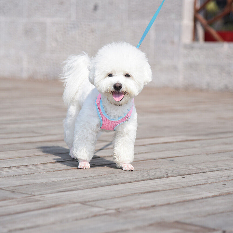 Adjustable Reflective Breathable Pet Harness with Lead Leash for Dog Cat Vest