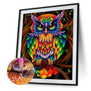 5D Diamond Painting DIY Colorful Owl Full Round Diamond Mosaic Art