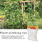 1.67x5m Garden Plants Climbing Net Polyester Cucumbers Vine Stand Trellis Net