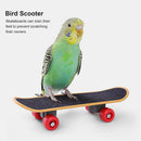 Training Bird Interactive Parrot Basketball Skateboard Ferrule Tower Toys