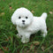 Realistic White Teddy Dog Simulation Dog Puppy Lifelike H9V0 Handmade W9Y9 E6B4