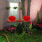 #A Solar Peony Flower Light LED Lawn Lamp Waterproof Outdoor Patio Decorative La
