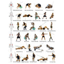 RESISTANCE BANDS Set For Yoga Abs Pilates Fitness Exercise Workout 11 Pieces.