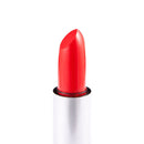 Pro Portable Travel Retractable Lip Eyeliner Brush Constitution Tool Cosmetics