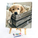 Oil Paint By Numbers Small Animal Frameless Picture Craft Kit for Living Room