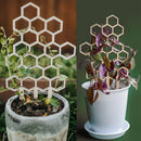 Durable Wood Potted Climbing Frame Flower Support Stand (Honeycomb 3pcs) Newly