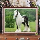 5D DIY Diamond Painting Kits Full Square Drill Gypsy Horse Mosaic Picture Decor